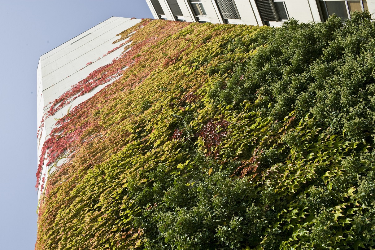 Campus der Universitt Bielefeld