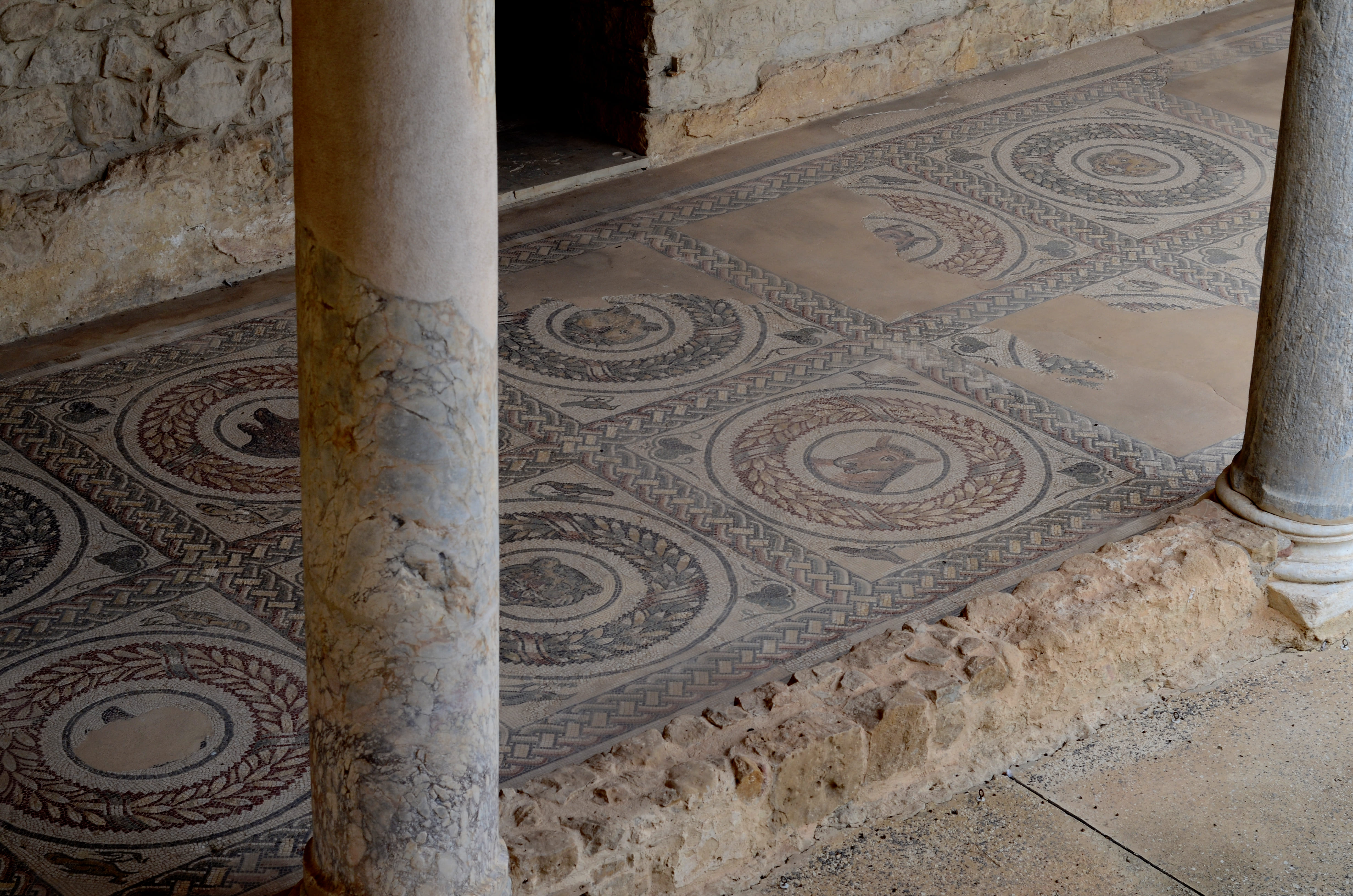 Bodenmosaik mit Abbildungen von Tierköpfen in der Villa Romana del Casale [Foto: Jastine Konermann].