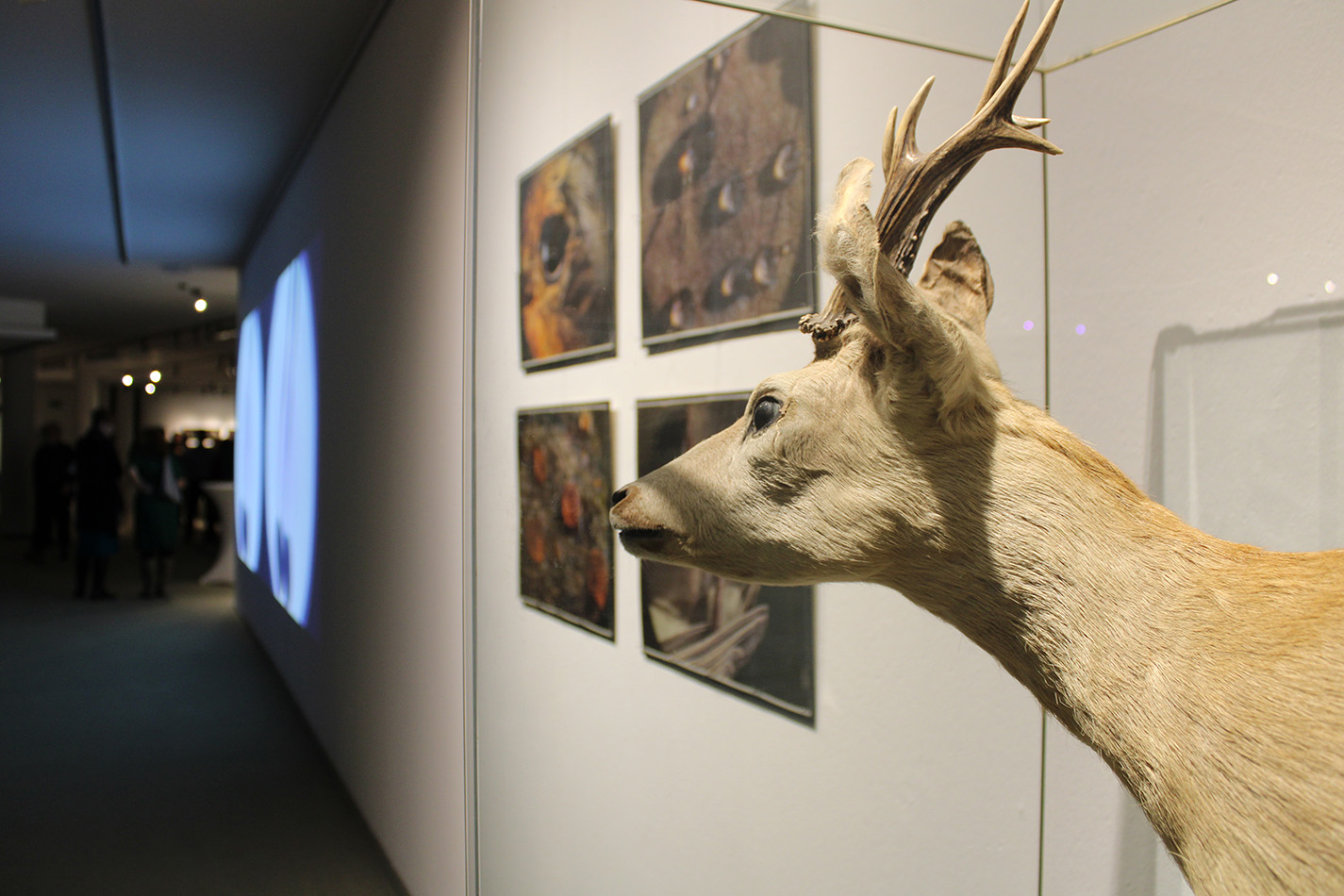 Photo of the exhibition opening and the exhibited works