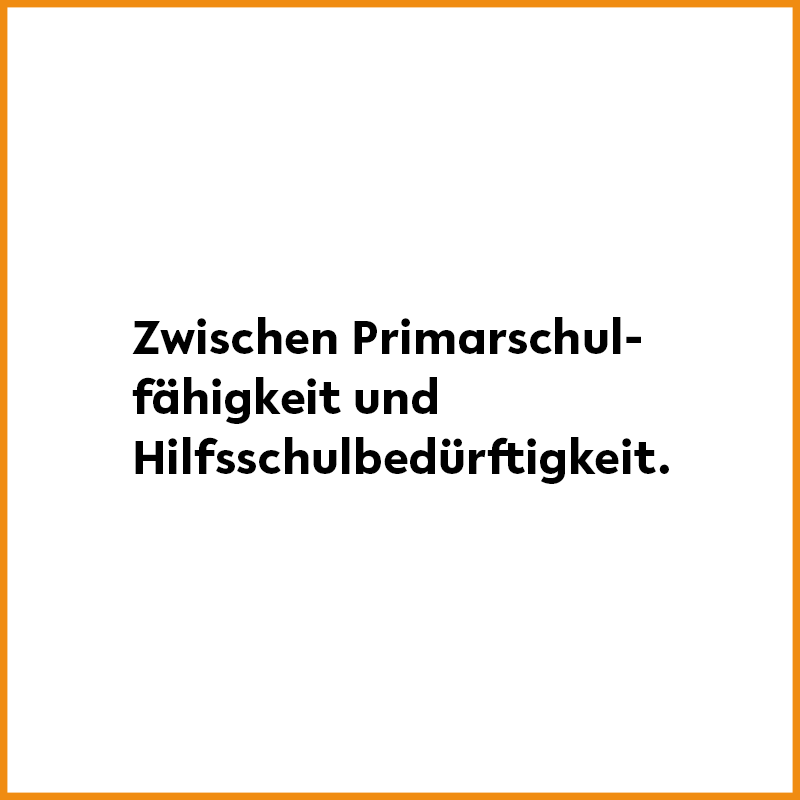 Logo Zwischen Primarschulfähigkeit und Hilfsschulbedürftigkeit