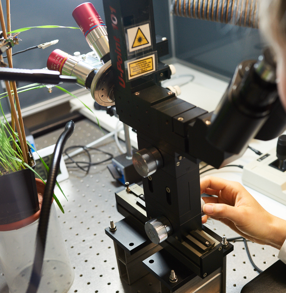 Arbeit mit einem Lasermikroskop