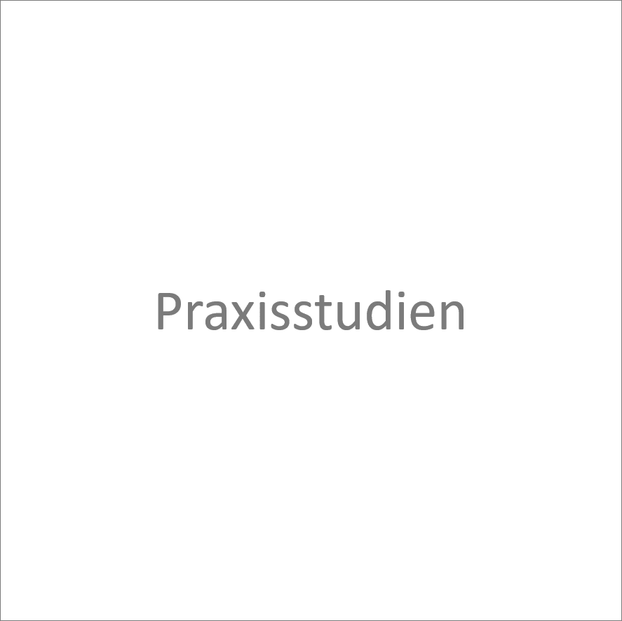 Praxisstudien