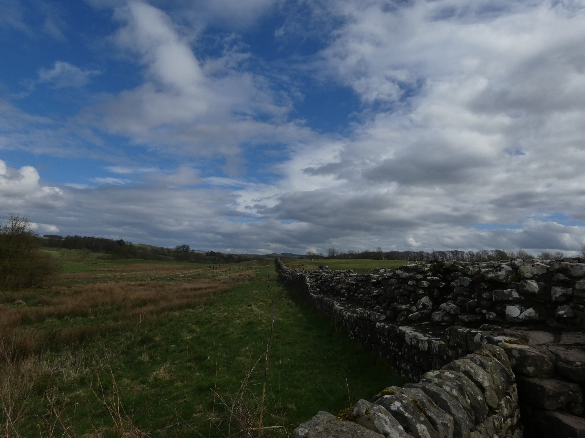 Hadrians Wall [Foto: Neele Becker].