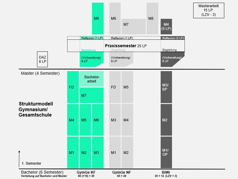 Aufbau des Studiums für das Lehramt an Gymnasien und Gesamtschulen