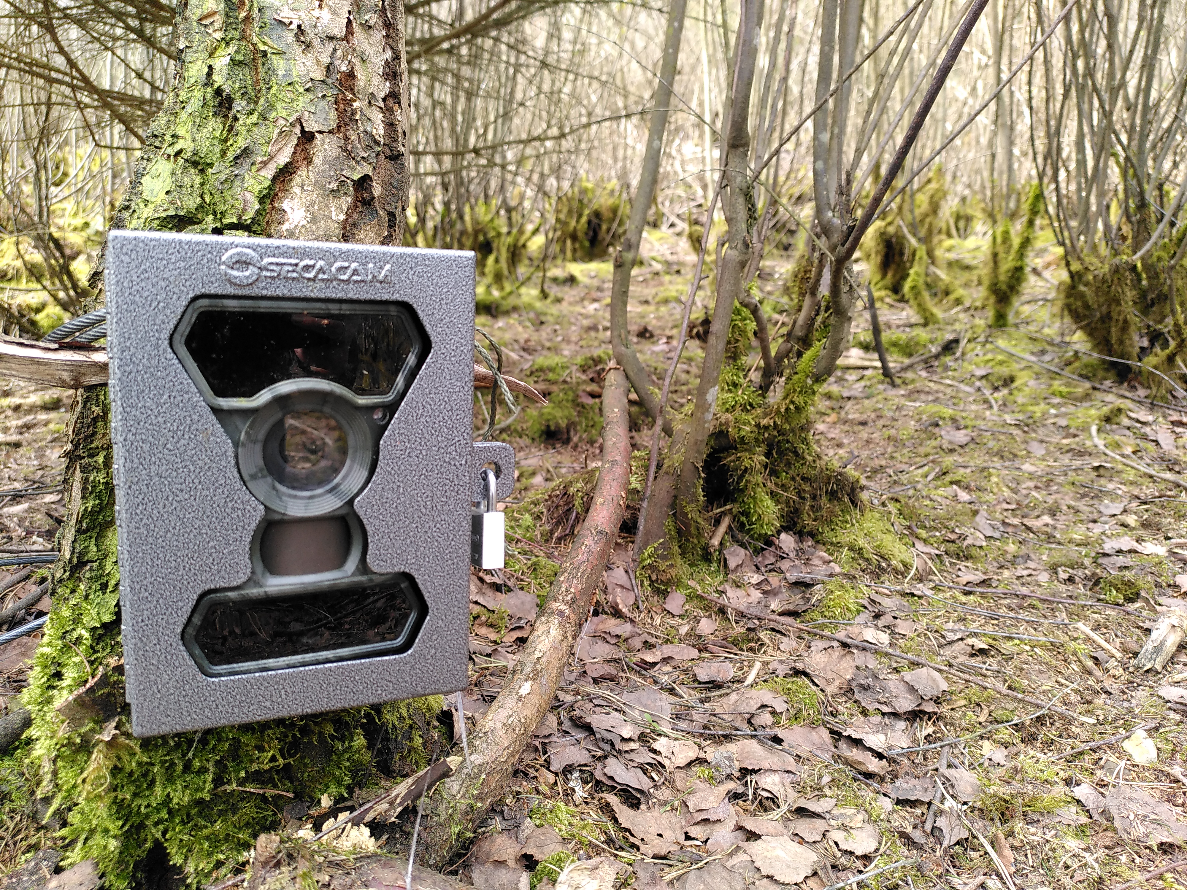 Camera trap