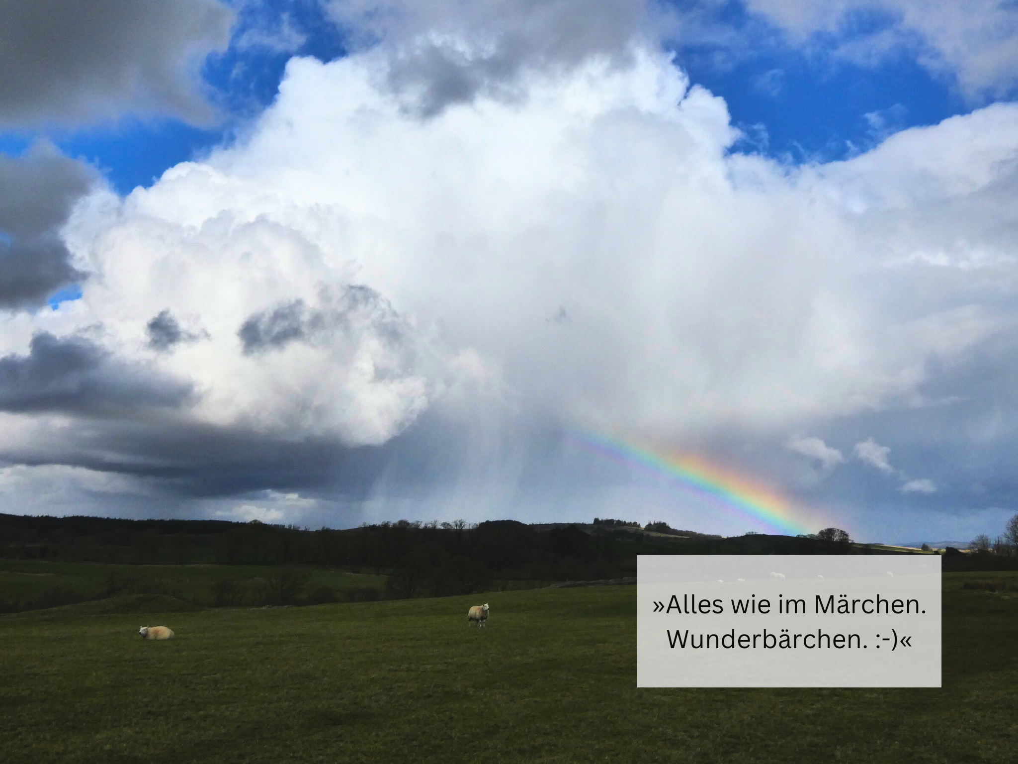 Alles wie im Märchen. Wunderbärchen. :-)