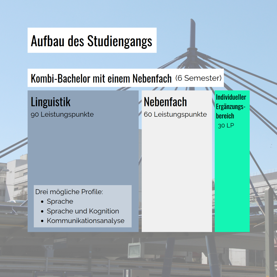 Kombibachelor in Linguistik mit einem Nebenfach