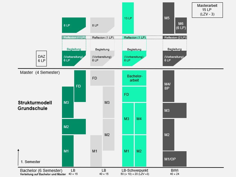 Aufbau des Studiums für das Lehramt an Grundschulen