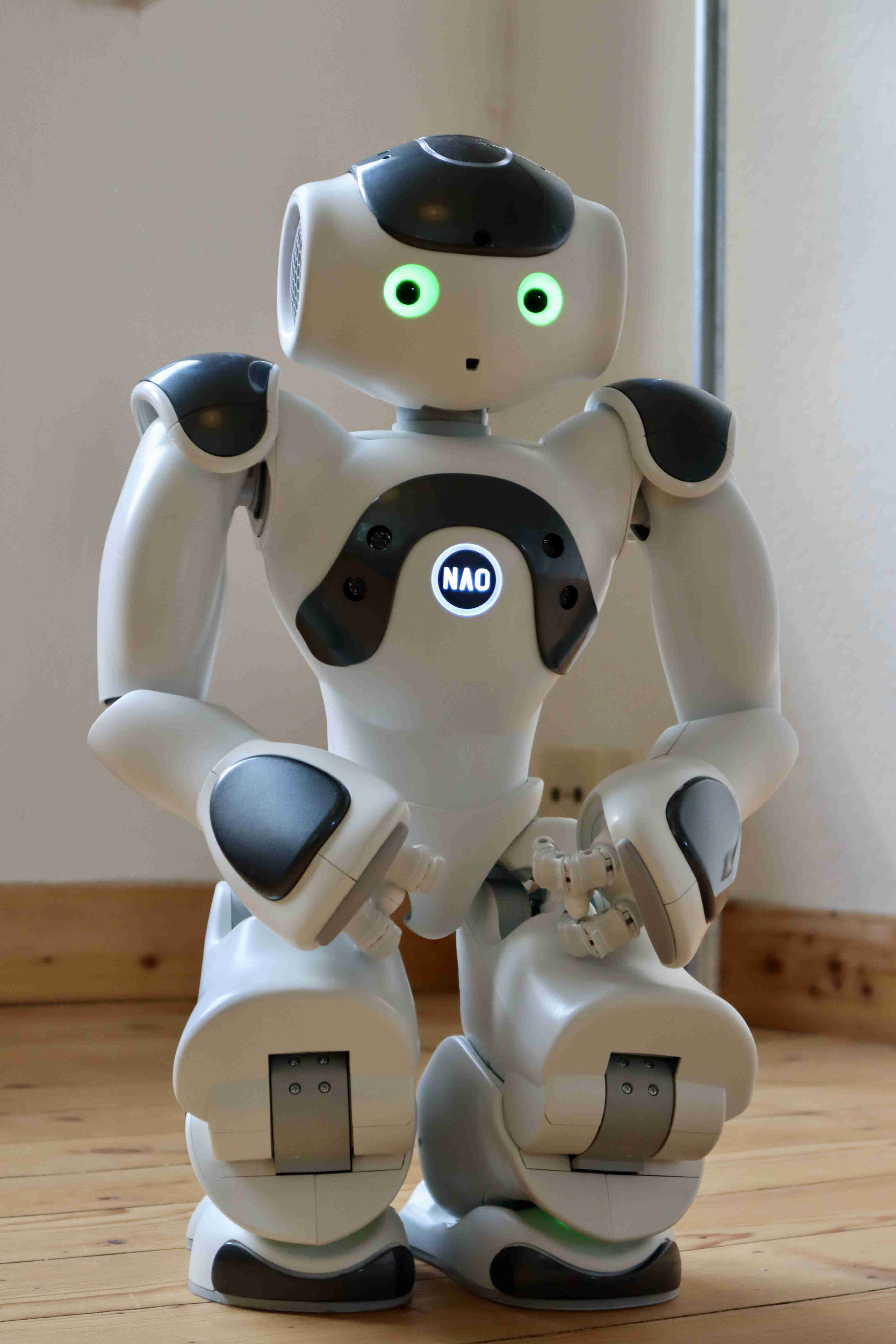 Nao Roboter