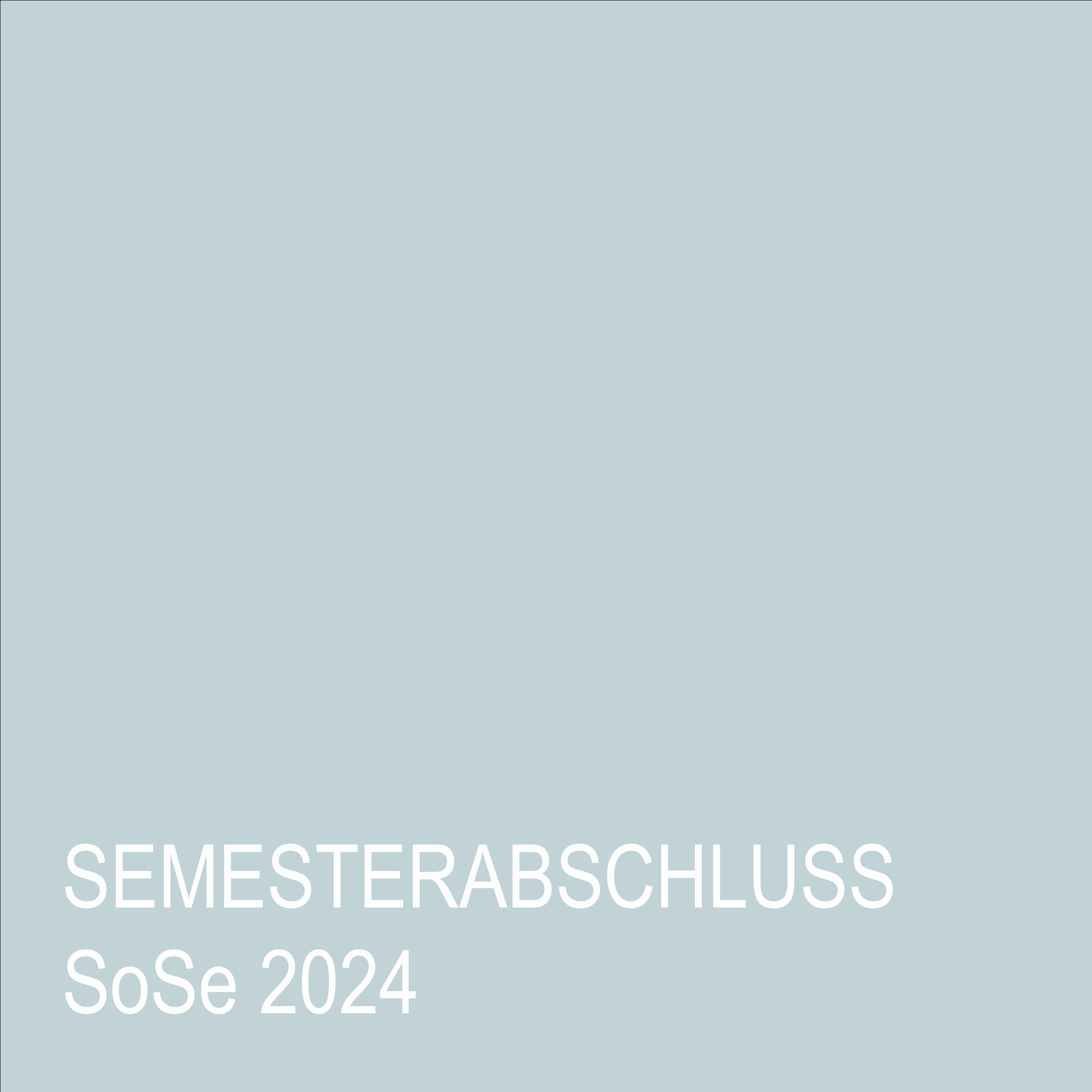 Info: Semesterabschluss SoSe 2024