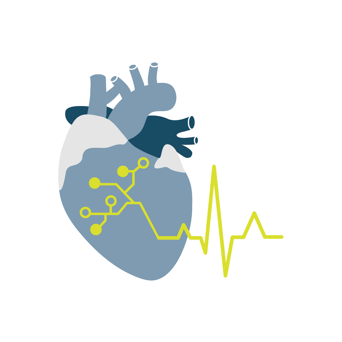 Zeichnung eines Herzens mit Anschluss an ein EKG