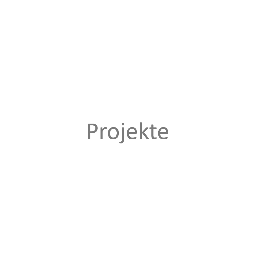 Projekte